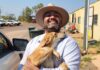 Lots of paws in Barkly