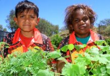 Growing confidence, culture and classroom success