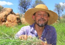 ‘Transformer’ weed under spotlight