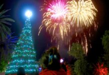 Christmas Grinch can’t stop tree lighting up