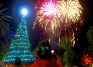 Christmas Grinch can’t stop tree lighting up