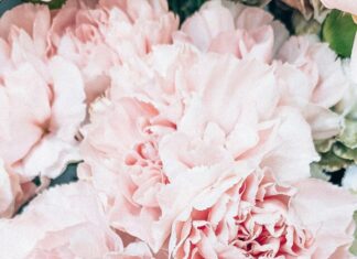 What to do in December