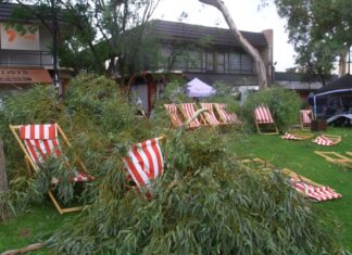 Christmas Grinch almost ruins street party