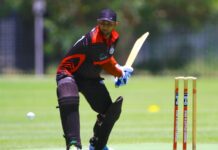 Westies too good for Feds Bs