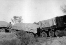 Name honours mechanic