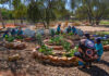 New Cultural Garden space at Larapinta