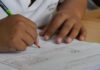 NAPLAN results broadly stable