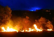 BREAKING: Fire races through hills behind Braitling