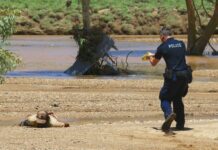 BREAKING: Dramatic arrests in Todd River