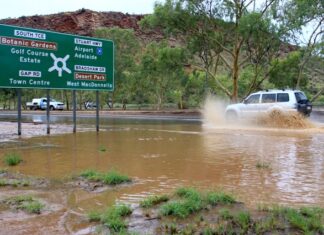 Weatherman to help with disaster weather analysis