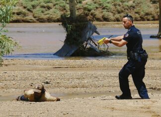 UPDATED: Dramatic arrests in Todd River