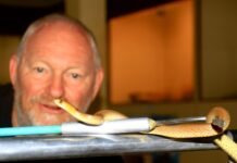 Rain forces snakes to move inside