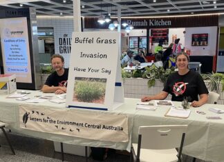 Better plan for buffel