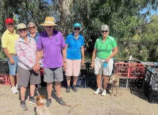 A desert golf club’s green impact