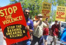 New domestic violence peak body grounded in culture