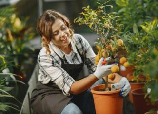 My citrus has a problem