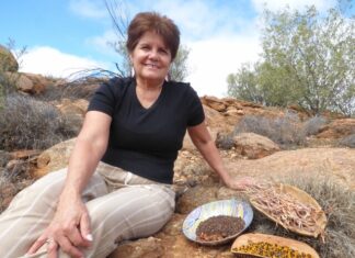 Parrtjima’s new cultural experience