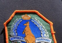 Four youths apprehended after alleged burglary