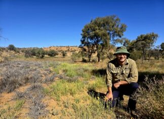 Ground zero for buffel