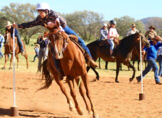 No horsing around at gymkhana