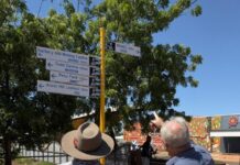 Gardens and shade beautify Tennant