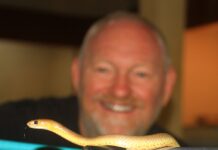 Busy time for snake catchers