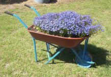 April a month for planting